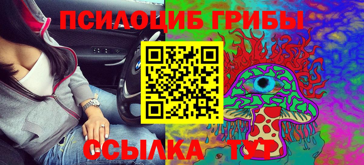 Галлюциногенные грибы Cubensis  Вход с VPN  Братск 